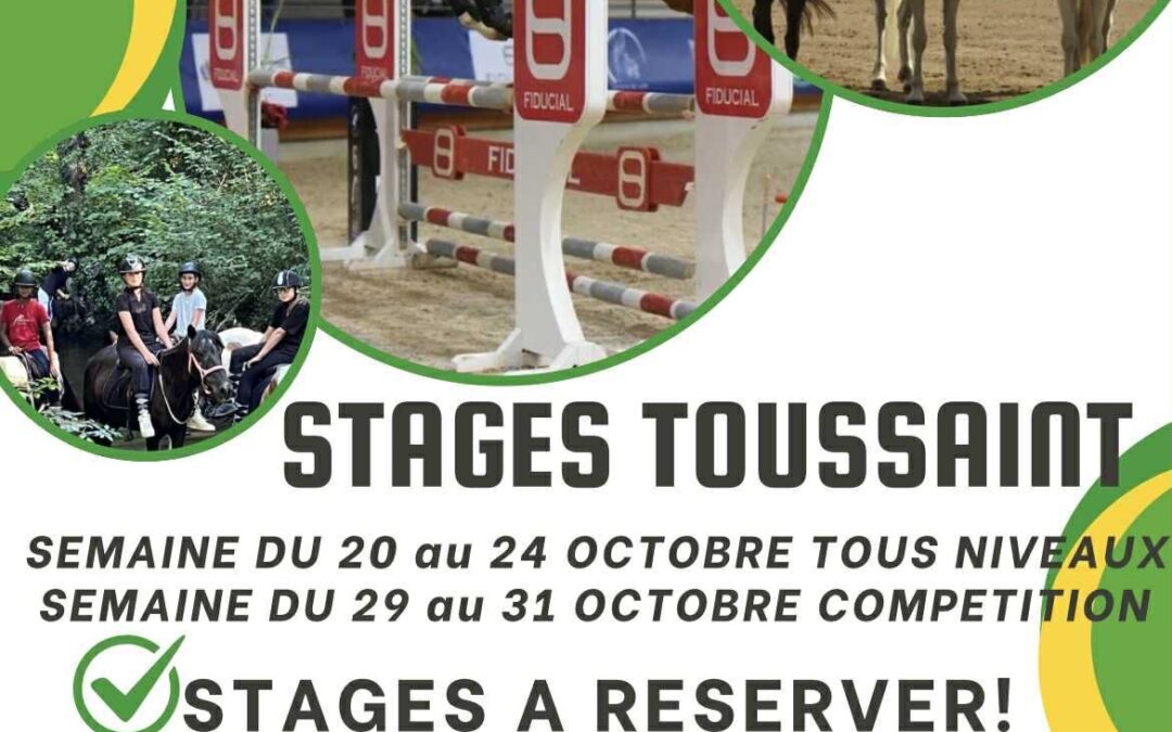 Stage Toussaint